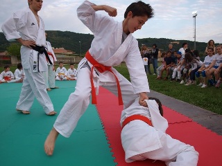 Image description